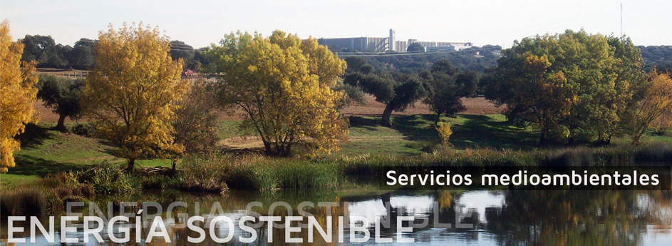 Servicios medioambientales